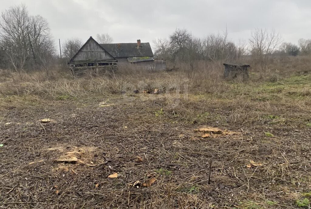 дом р-н Навлинский д Пластовое ул Деревенская фото 1