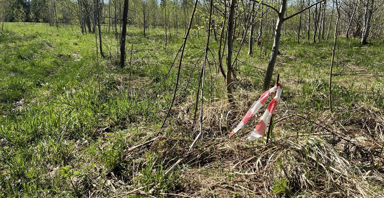 земля городской округ Волоколамский 77 км, коттеджный пос. Новая Рига, 38, Сычево, Новорижское шоссе фото 4