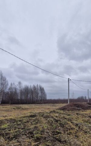 земля д Каликино ул. Весенняя, Бор городской округ фото