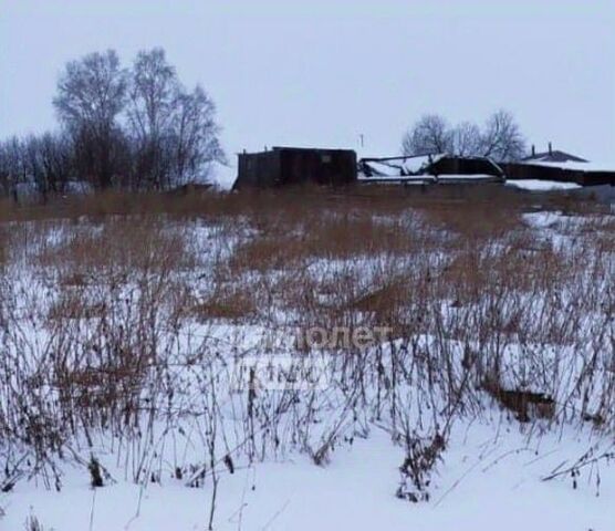 земля р-н Белоярский д Марамзина ул Новая фото