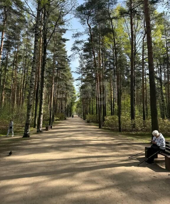 квартира г Санкт-Петербург метро Политехническая пр-кт Светлановский 45 фото 8