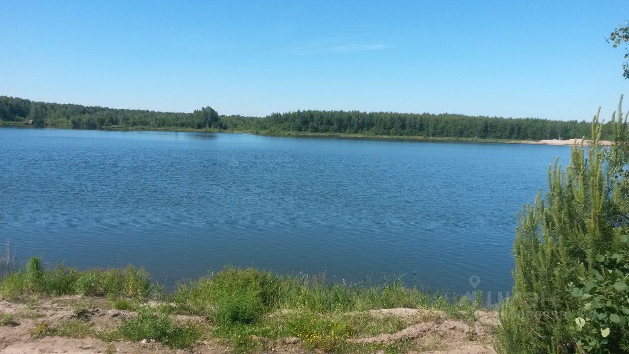 земля городской округ Павловский Посад д Васютино 155/2, Электрогорск фото 23