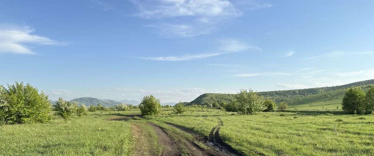 земля р-н Алтайский Бирюзовая Катунь тер., тракт Айский фото 2