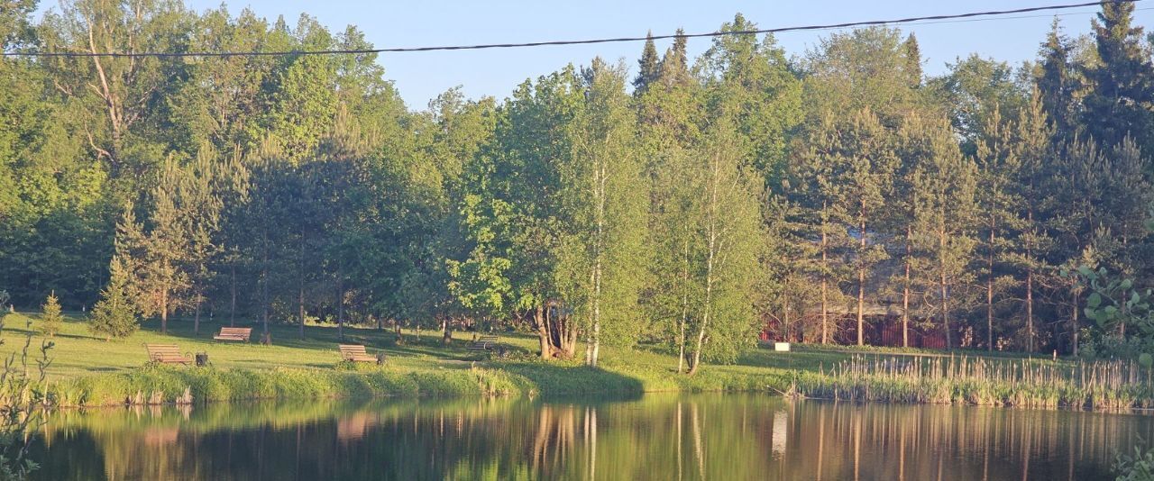 земля городской округ Дмитровский д Удино Лобня фото 18