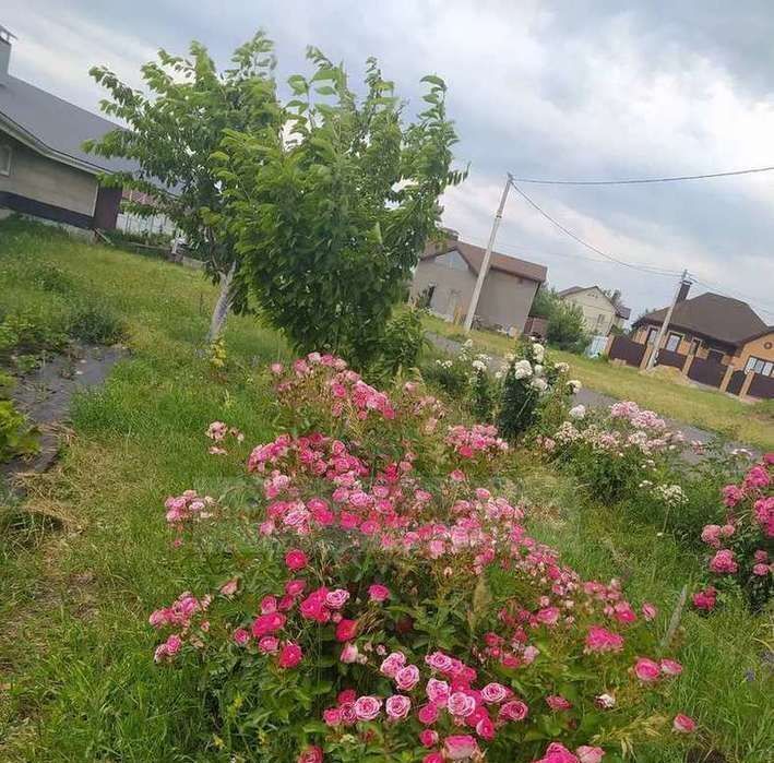 дом р-н Белгородский с Таврово Тавровское с/пос, ул. Нагорная фото 10