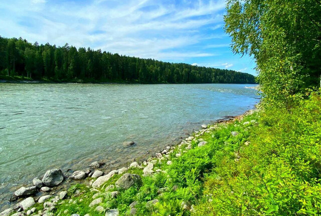 р-н Турочакский с Верх-Бийск Тондошенское сельское поселение фото