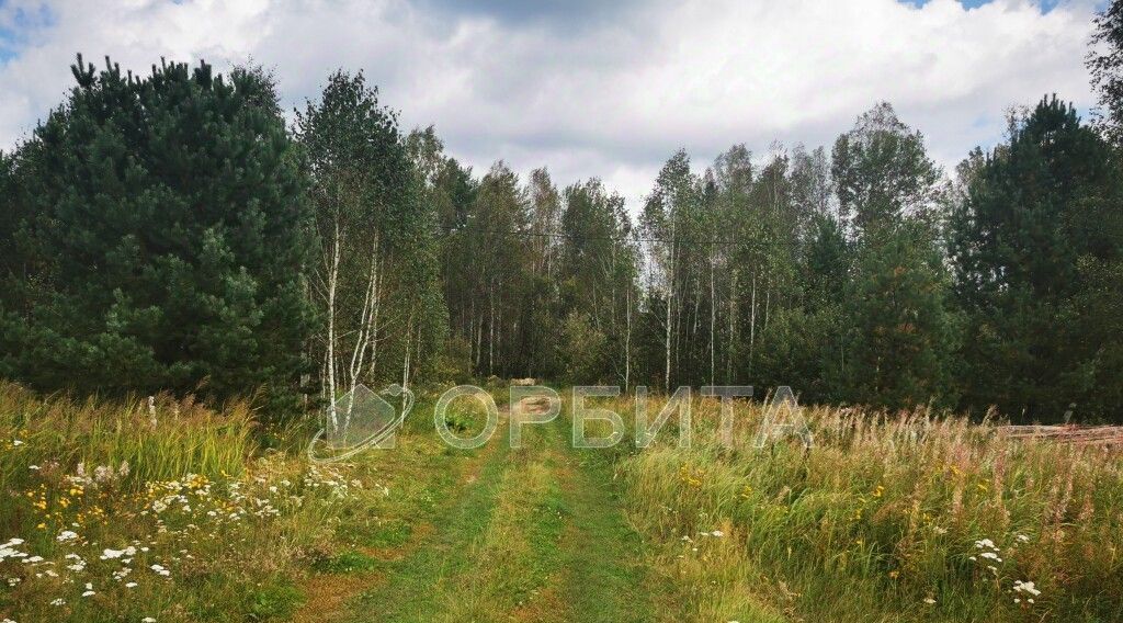 земля р-н Тюменский д Головина Онохинское сельское поселение фото 1