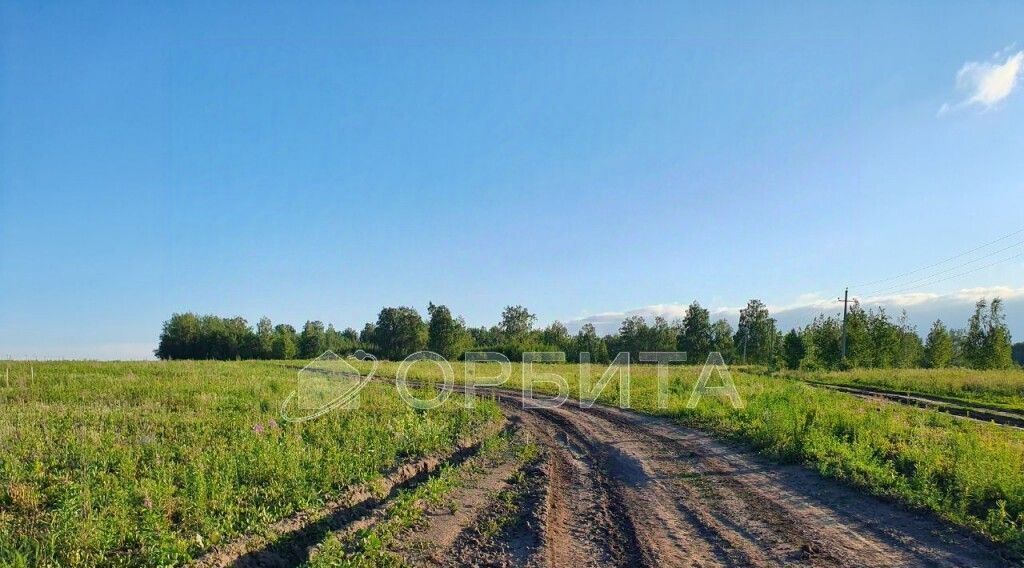 земля г Тюмень р-н Центральный снт Поле чудес ул Зеленая фото 2