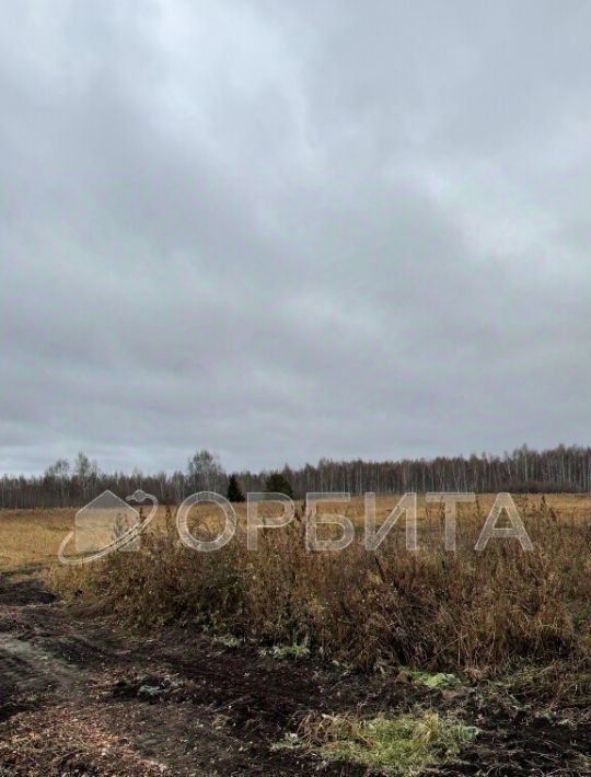 земля р-н Нижнетавдинский д Нижние Тарманы ул Дружбы фото 5