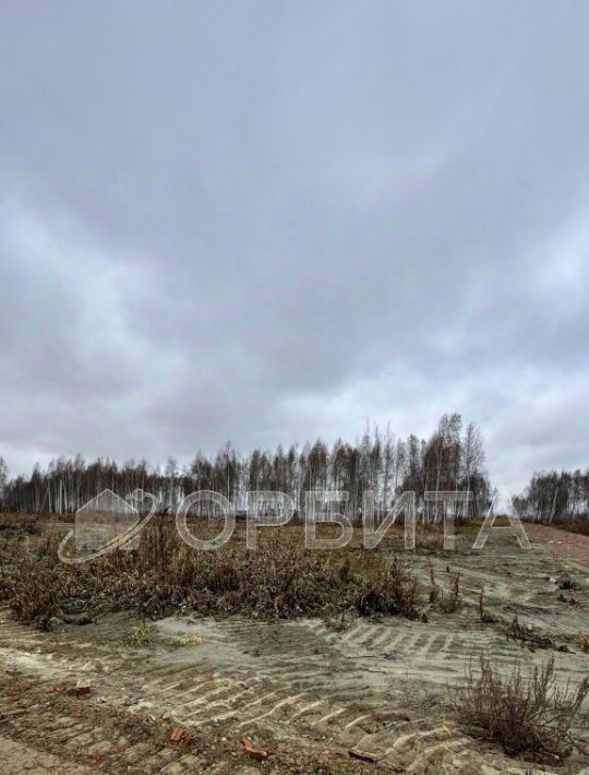 земля р-н Нижнетавдинский д Нижние Тарманы ул Дружбы фото 6