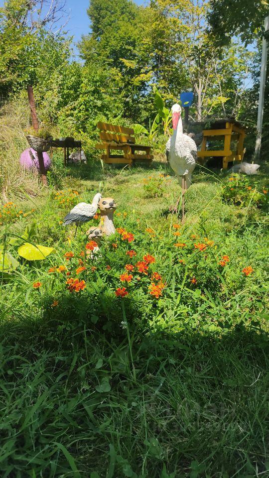 дом г Сочи с Детляжка Лазаревский внутригородской район, Липовый переулок, 49 фото 38