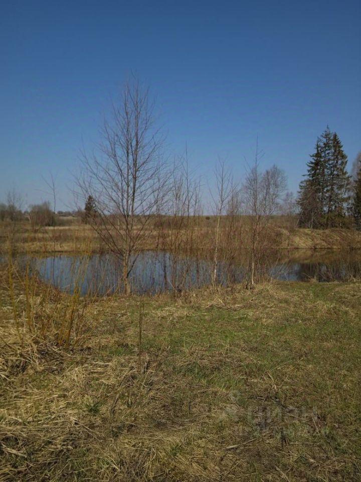 земля городской округ Шаховская Центральная улица фото 11