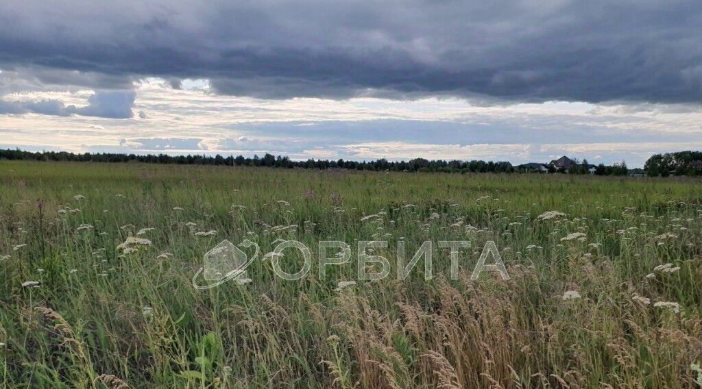 земля г Тюмень р-н Центральный снт Поле чудес ул Зеленая Центральный административный округ фото 3