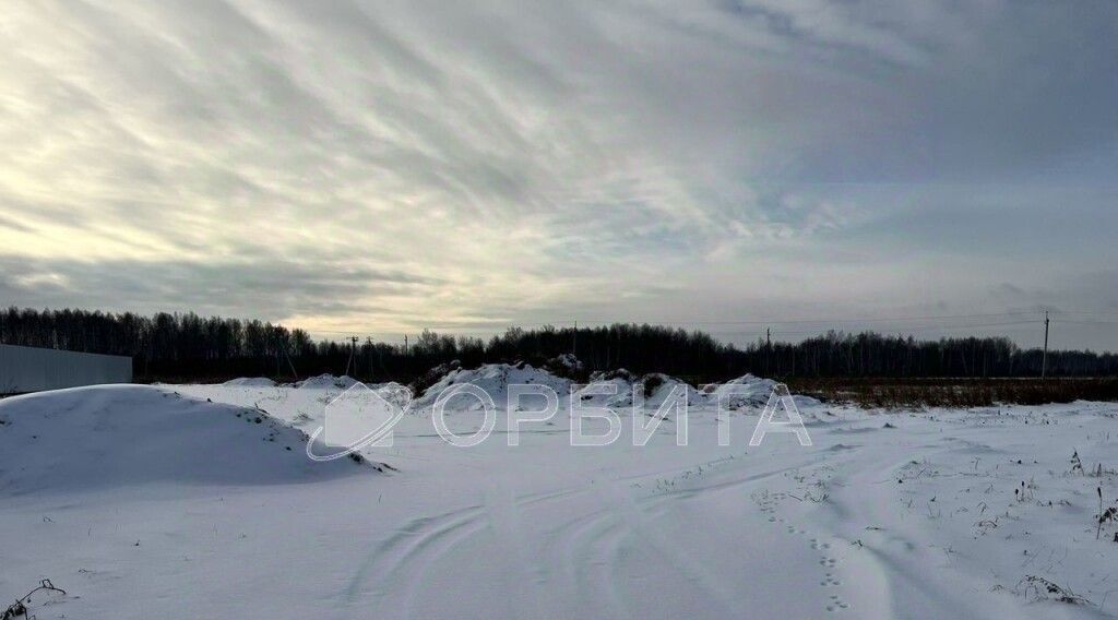 земля р-н Тюменский с Горьковка фото 1