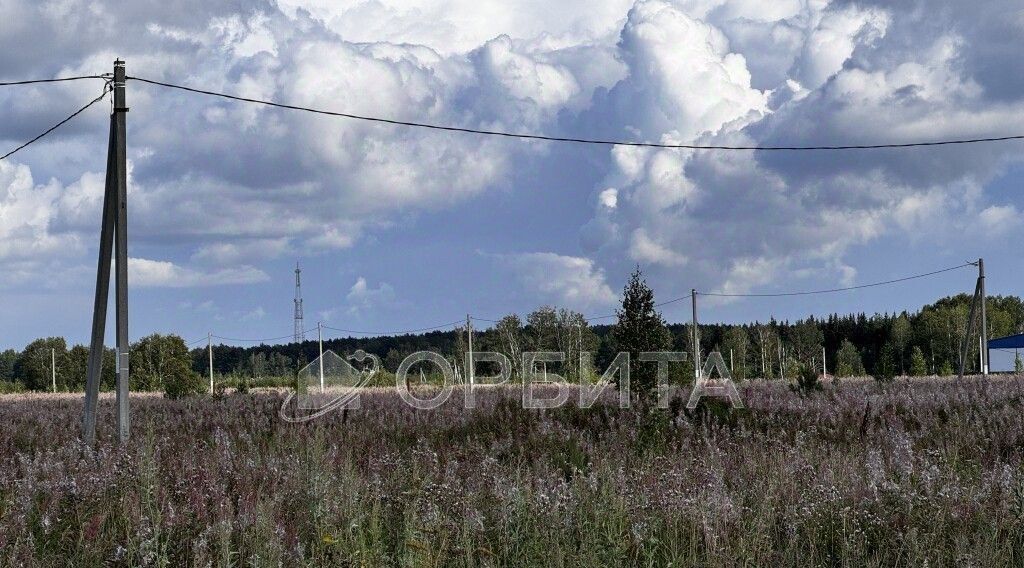 земля р-н Тюменский с Перевалово ул. Воскресная фото 5