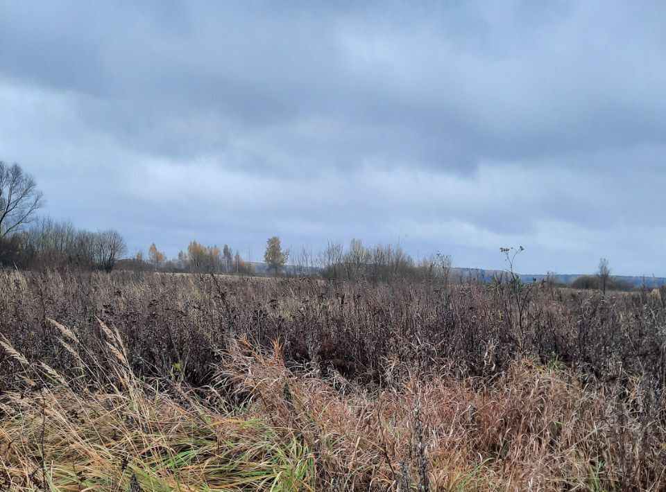 офис городской округ Ступино с Большое Алексеевское фото 1