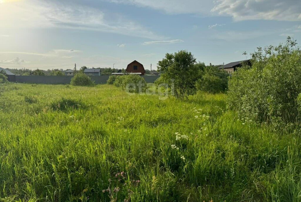 земля г Подольск СНТСН Лопатино, Силикатная фото 1