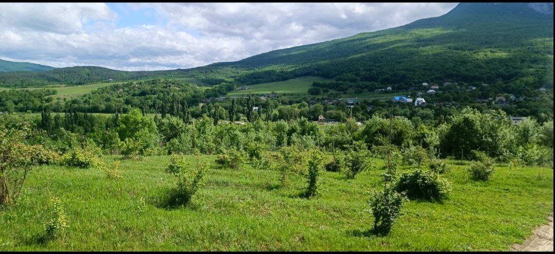 земля р-н Бахчисарайский с Соколиное ул Прохладная 58 Голубинское сельское поселение фото 3