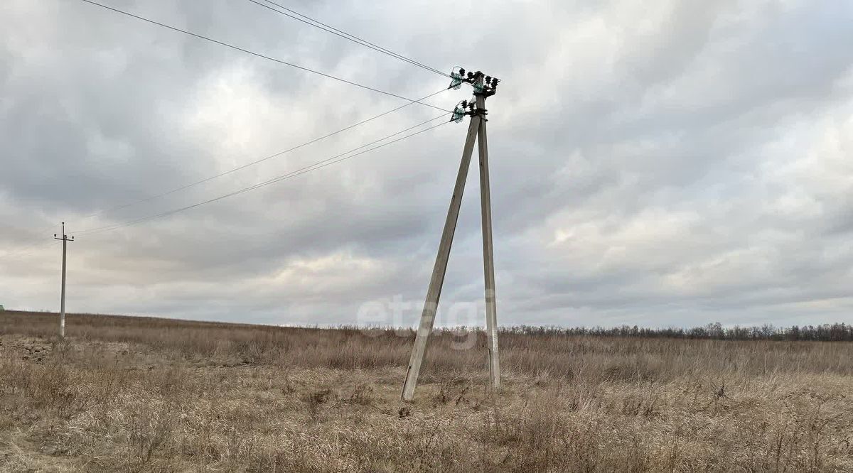 офис р-н Белгородский Новосадовское с/пос, Автодорога Белгород - Ближняя Игуменка тер фото 1