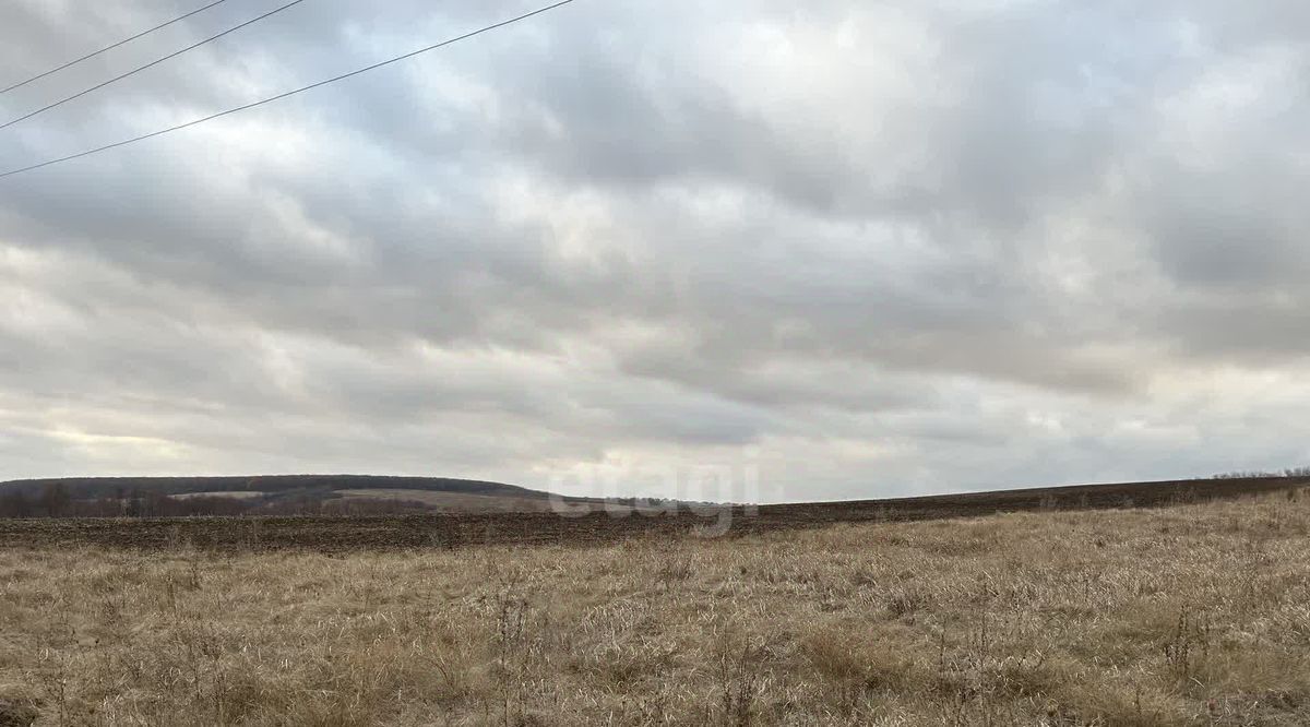 офис р-н Белгородский Новосадовское с/пос, Автодорога Белгород - Ближняя Игуменка тер фото 4