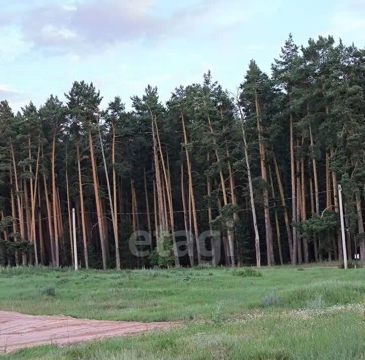 земля р-н Добровский с Кореневщино ул Набережная Кореневщинский сельсовет фото 4