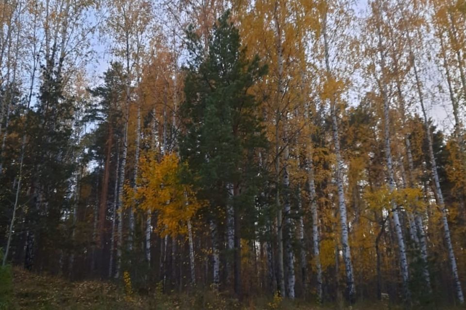 квартира г Екатеринбург п Мичуринский пер Терновый 8/2 Екатеринбург городской округ фото 6