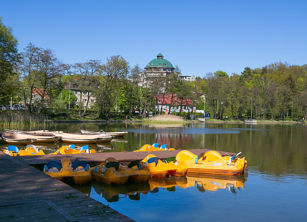 квартира р-н Светлогорский г Светлогорск пр-кт Калининградский 71а фото 25