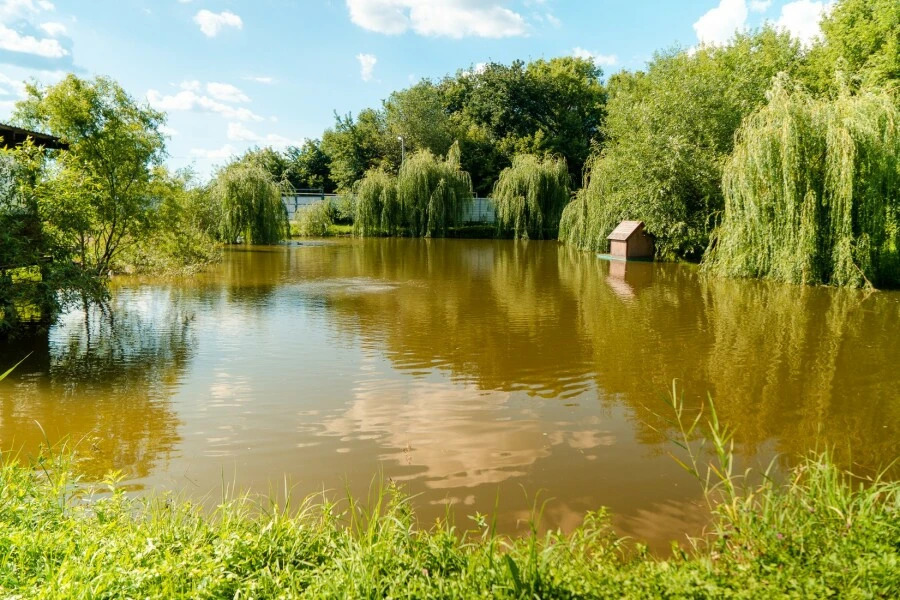 дом г Воронеж р-н Железнодорожный фото 16