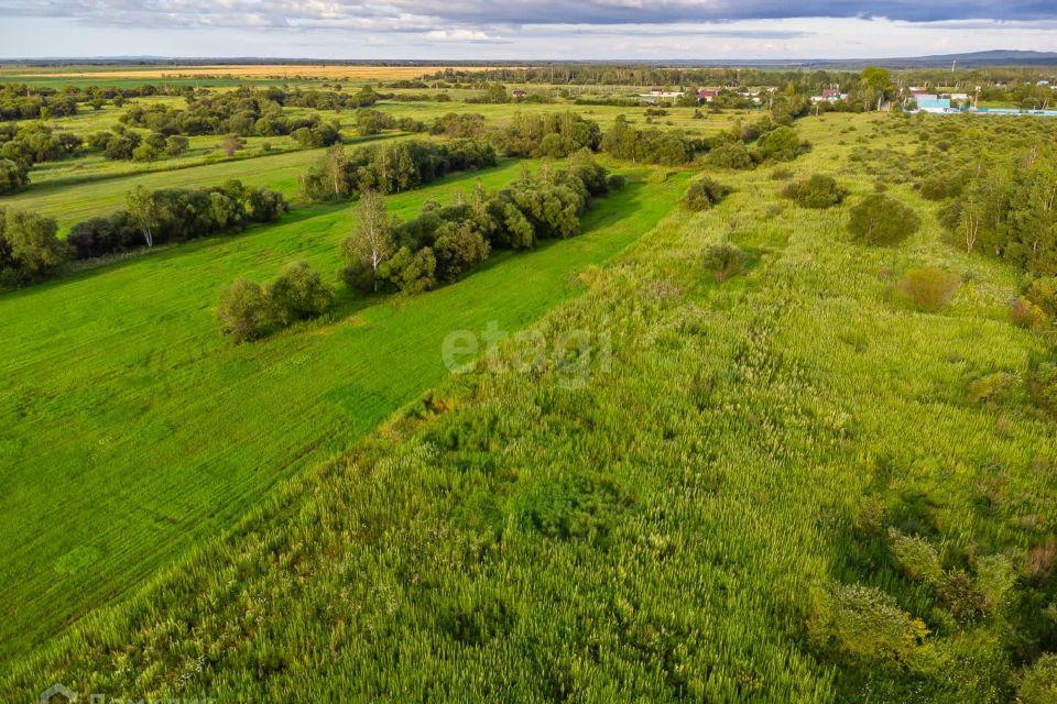 земля р-н Хабаровский село Дружба фото 4