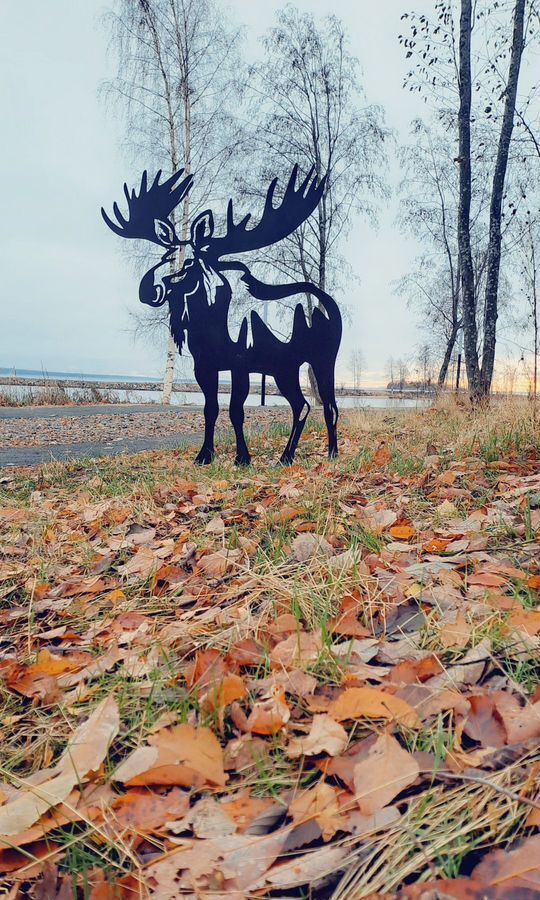 квартира г Петрозаводск р-н Северная Промзона ш Соломенское 6 фото 37