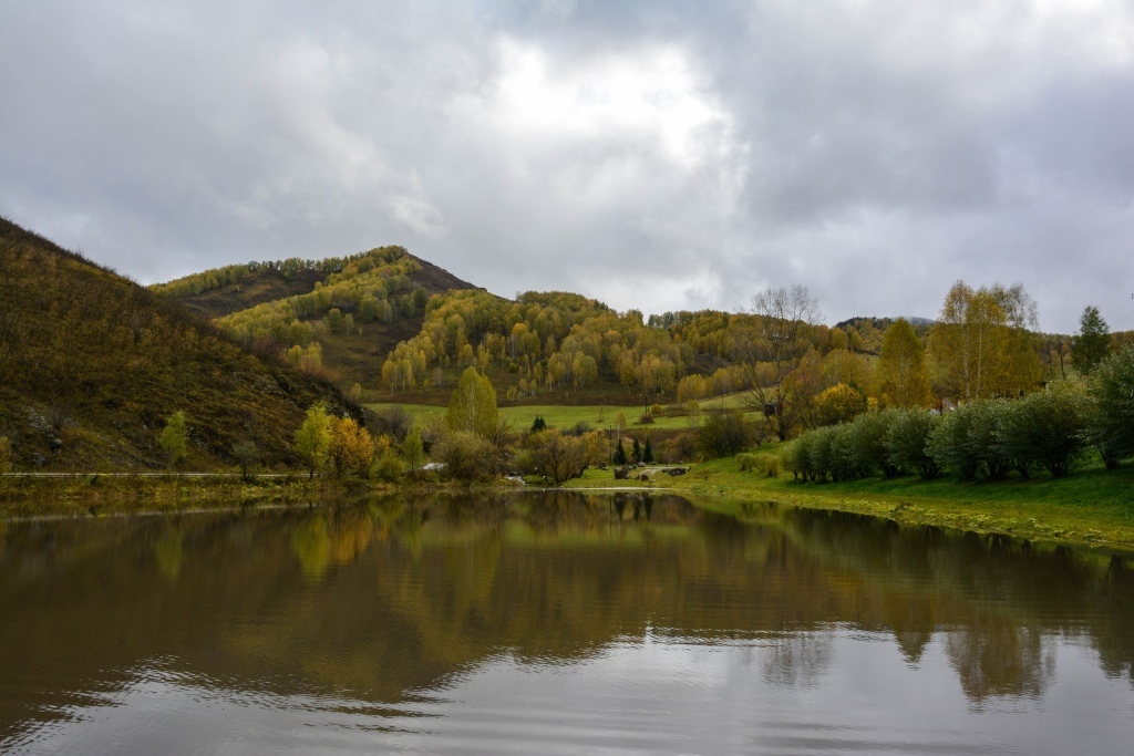 гостиницу р-н Алтайский п Басаргино фото 5