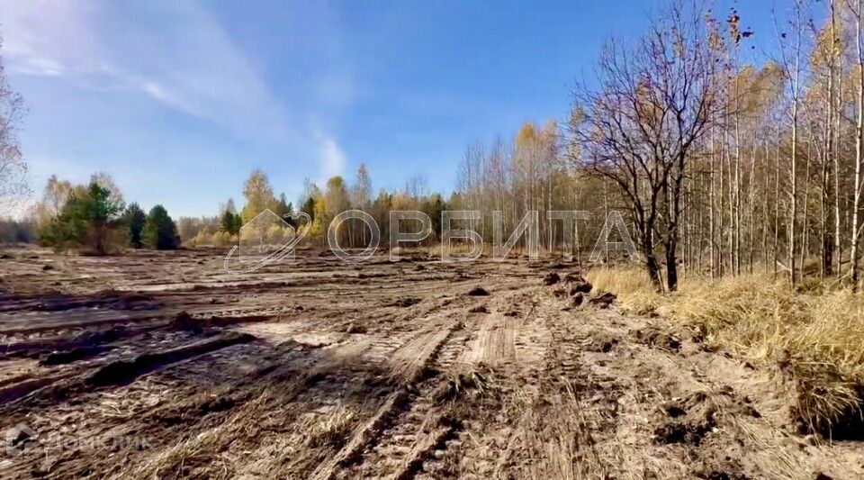 земля р-н Нижнетавдинский Тюнево фото 4