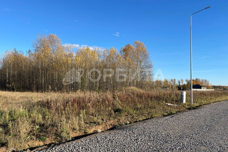 земля р-н Тюменский ДПК Новокаменский, Коттеджный посёлок Новокаменский фото 4