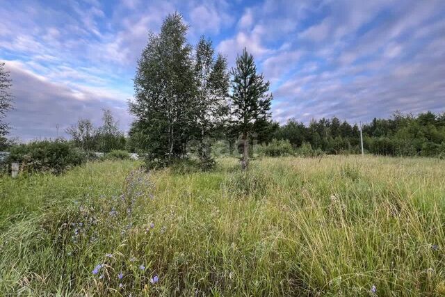 Курган городской округ, шоссе им. Тюнина фото