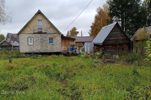 СНТ Рыжик, Приморский район фото