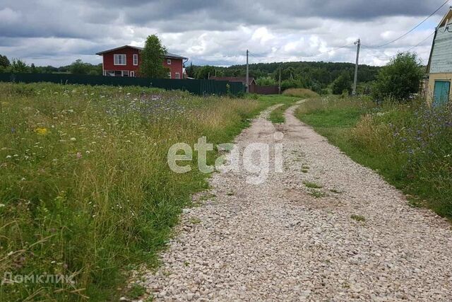 Латынино фото