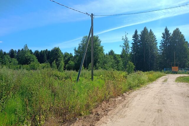 г Сыктывкар ул Юшкина Сыктывкар городской округ фото