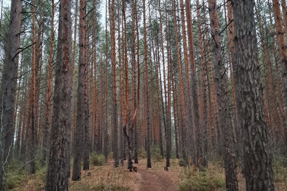 земля Добрянский городской округ, Коттеджный посёлок Сотворение фото 1