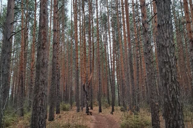 земля Добрянский городской округ, Коттеджный посёлок Сотворение фото