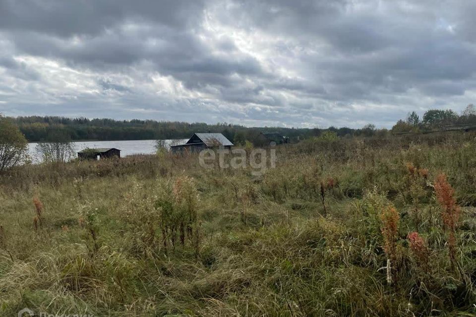 земля р-н Шекснинский Камешник фото 2