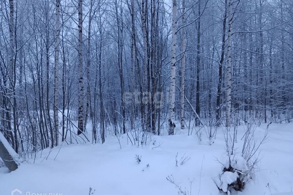 земля г Череповец Зашекснинский, городской округ Череповец фото 4