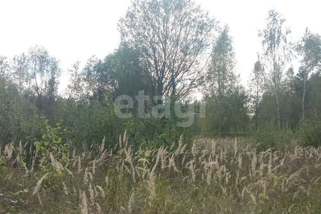 Калуга городской округ, Бывший посёлок Пионерский фото