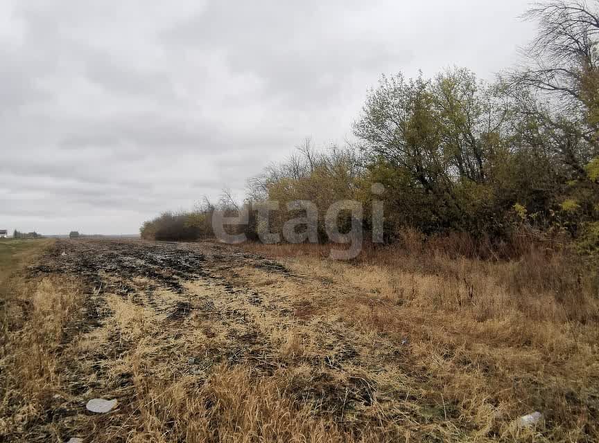 земля р-н Нижнедевицкий фото 3