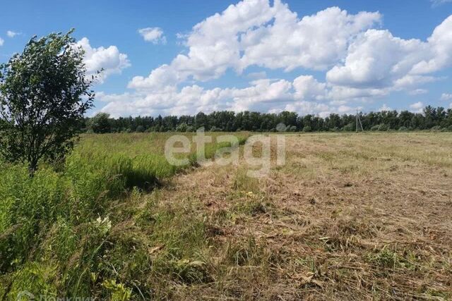 Тула городской округ, Привокзальный территориальный округ фото