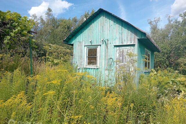 Тула городской округ, СНТ Восточный фото