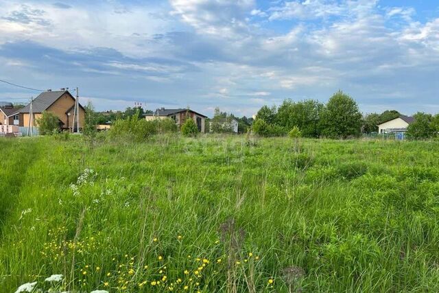 Тула городской округ, Лихвинка фото