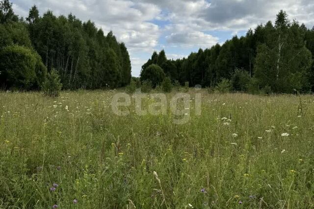 Никольские Выселки фото