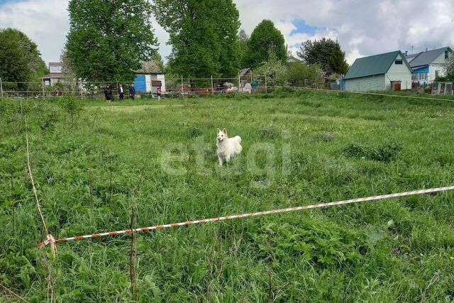 Тула городской округ, Волынь фото