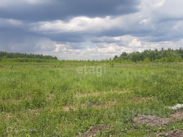 земля р-н Новомосковский г Новомосковск муниципальное образование Новомосковск, Зелинского фото 1