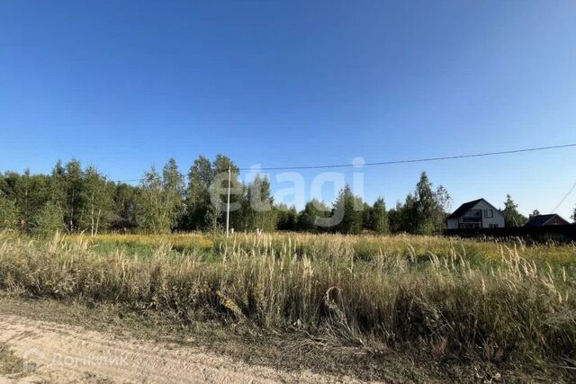 Тула городской округ, Архангельское фото